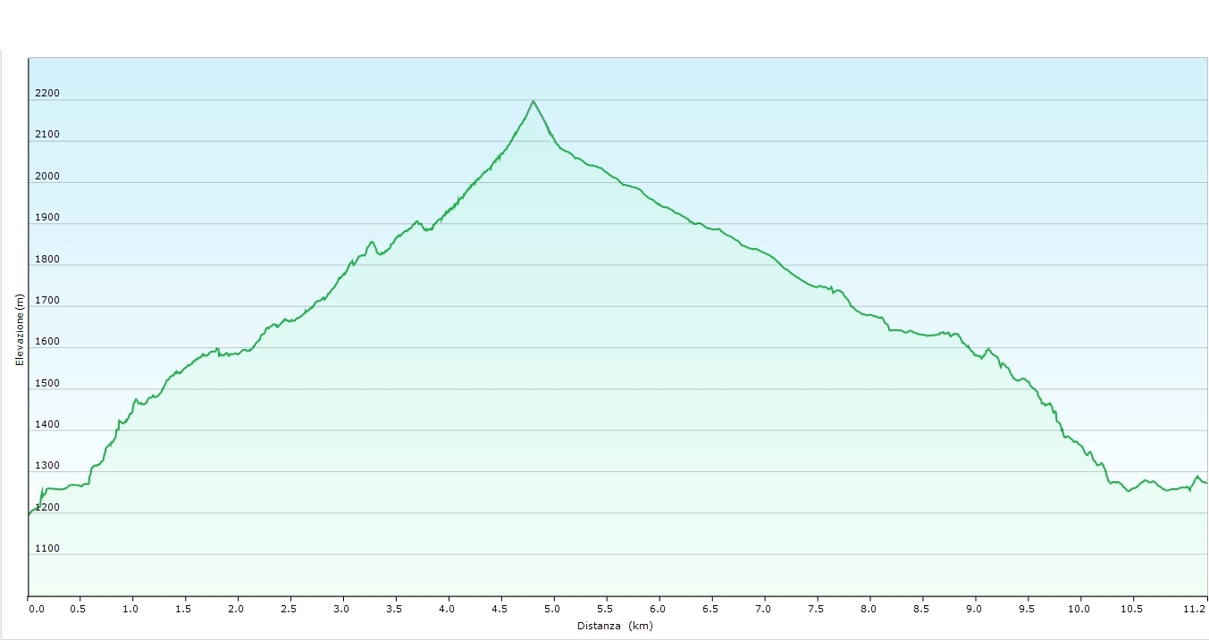 profilo altimetrico Elefanti