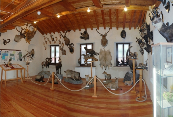 Usseglio museo Tazzetti